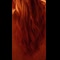 video thumb