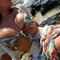 elizabeth-prive-ontvangst-via-kinky-6295e4d3f8fd93001243b49d