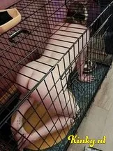 jackie-bdsm-via-kinky-6498754926f46900123ac4e8