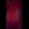 video thumb