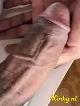 fatima-prive-ontvangst-via-kinky-69320deb850e9600133cfe2d