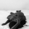 summer-erotische-massage-via-kinky-65555e6500e12d00199da53a