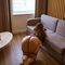 mirela-prive-ontvangst-via-kinky-68b866072db4460014135c22
