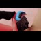 video thumb