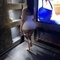 mia-prive-ontvangst-via-kinky-6779cd747ddc4f0013c7434c