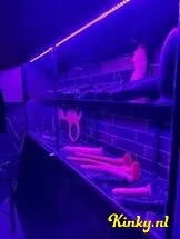 mistress-jessica-bdsm-via-kinky-66b369e34d7126001275205e