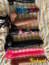 harmony-prive-ontvangst-via-kinky-67348696cdeee3001391af44