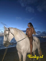 hillary-prive-ontvangst-via-kinky-66c85490a4f88e001370ae02