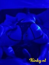 adhara-prive-ontvangst-via-kinky-686426cf9e10cc0013449244