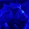 adhara-prive-ontvangst-via-kinky-686426cf9e10cc0013449244
