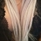 lisa-escort-via-kinky-663214cf9c50e6001a74a8d4