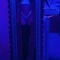micha-raamprostitutie-via-kinky-67800b38ff530e0013359cce
