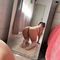 petit-virtual-sex-via-kinky-68b377b12db44600141355f0