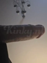 shakira-ts-prive-ontvangst-via-kinky-6940e1d9f83c6e0013fb516b