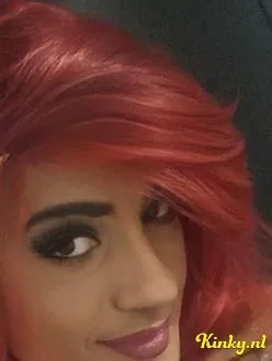 shakira-ts-prive-ontvangst-via-kinky-68a877c18a4a7a0013527b2e