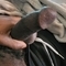 prince-escort-via-kinky-67f3ed316f455c0013cf99f3
