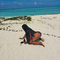 sol-prive-ontvangst-via-kinky-67edaba73cd0cf00131c18e9