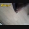 video thumb