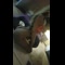 video thumb