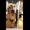 video thumb