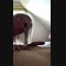 video thumb