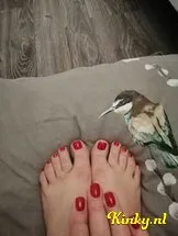 nicole-prive-ontvangst-via-kinky-5deb6604a2464464ea9ecc50