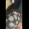 video thumb