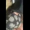 video thumb