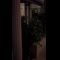 video thumb