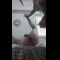 video thumb