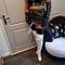 pamela-prive-ontvangst-via-kinky-620655e6c6a34a0012325218