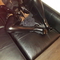 pamela-prive-ontvangst-via-kinky-61c54a25c6a34a001231e8b2