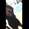 video thumb