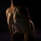 wanita-prive-ontvangst-via-kinky-65d384c8280f830019181cfc