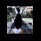 video thumb