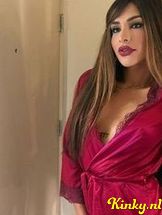 shakira-prive-ontvangst-via-kinky-68d14e314884f30013e89b46