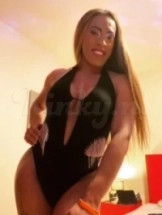 exotiica-prive-ontvangst-via-kinky-64d810079e4fcf0019f6338f