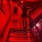 daniele-prive-ontvangst-via-kinky-65df469f91cfbd001a78fcd4