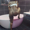 luna-prive-ontvangst-via-kinky-62910dfff8fd93001243af76