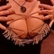daniele-prive-ontvangst-via-kinky-6564eecd00e12d00199dc2e7